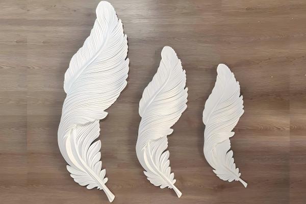 1788686313989165.jpg 羽毛--600x400.jpg