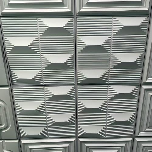 605系列 (4)--500x500.jpg