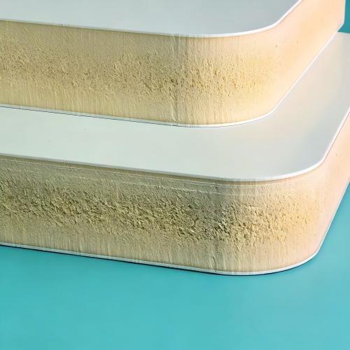 FOAM (2)(1)--500.jpg
