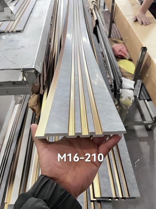 16cm (1)(1)--500.jpg