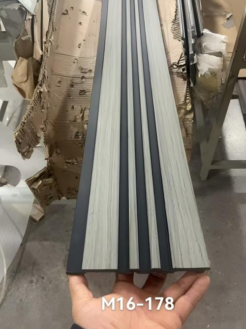 16cm (4)(1)--500.jpg