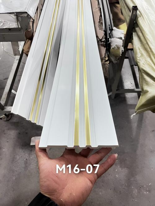 16cm (5)(1)--500.jpg
