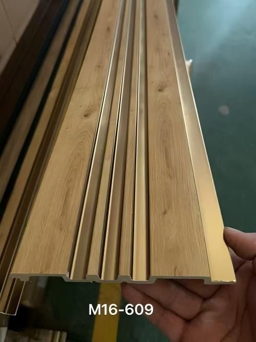 16cm (7)(1)--500.jpg
